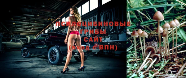 мяу мяу мука Зерноград