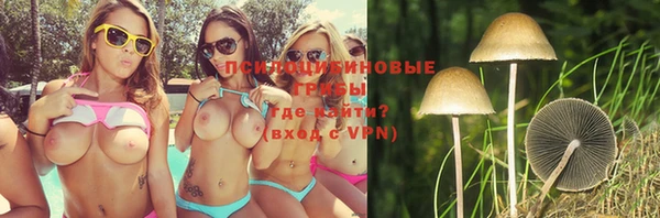MDMA Premium VHQ Зеленокумск
