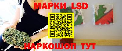 стафф Будённовск