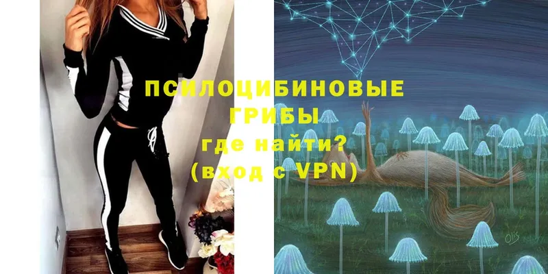 mega маркетплейс  Ессентуки  Галлюциногенные грибы Psilocybine cubensis 