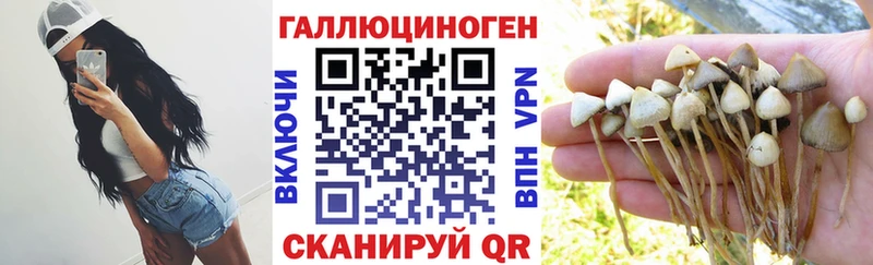 Псилоцибиновые грибы ЛСД  Ессентуки 