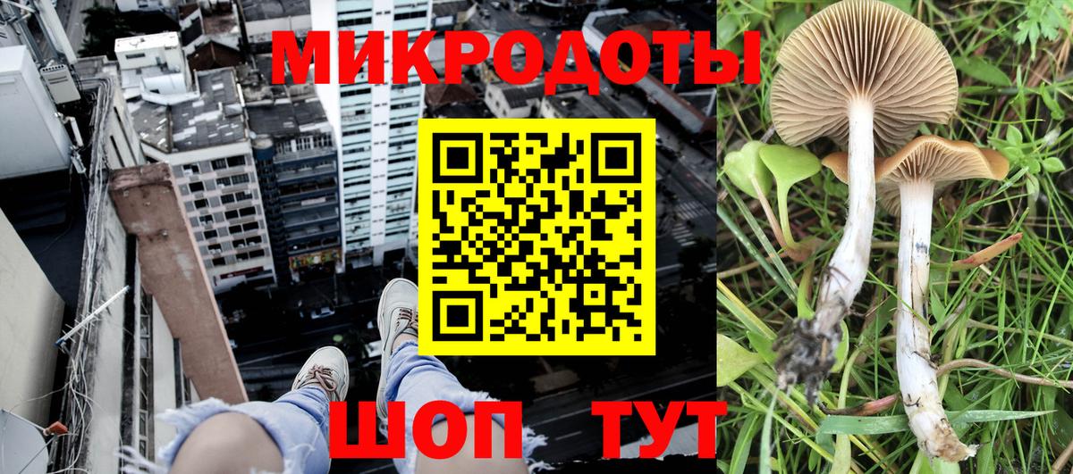 Ессентуки  Галлюциногенные грибы ЛСД  Вход с VPN 