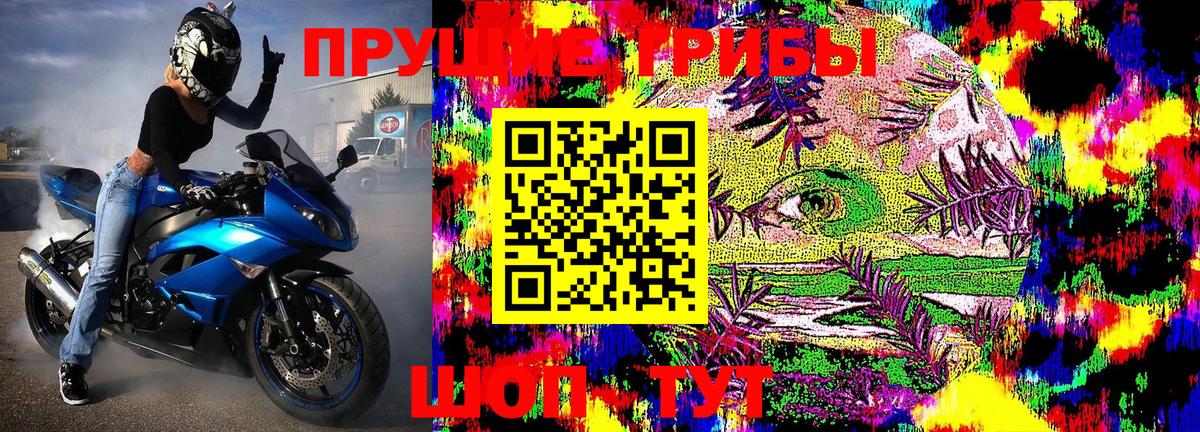 Псилоцибиновые грибы мухоморы Ессентуки