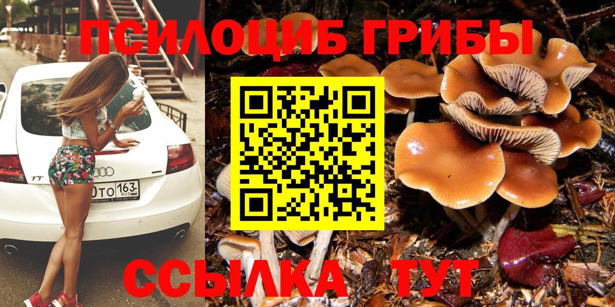 Псилоцибиновые грибы мухоморы  Ессентуки 
