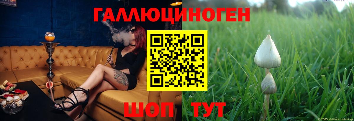 Галлюциногенные грибы Ессентуки